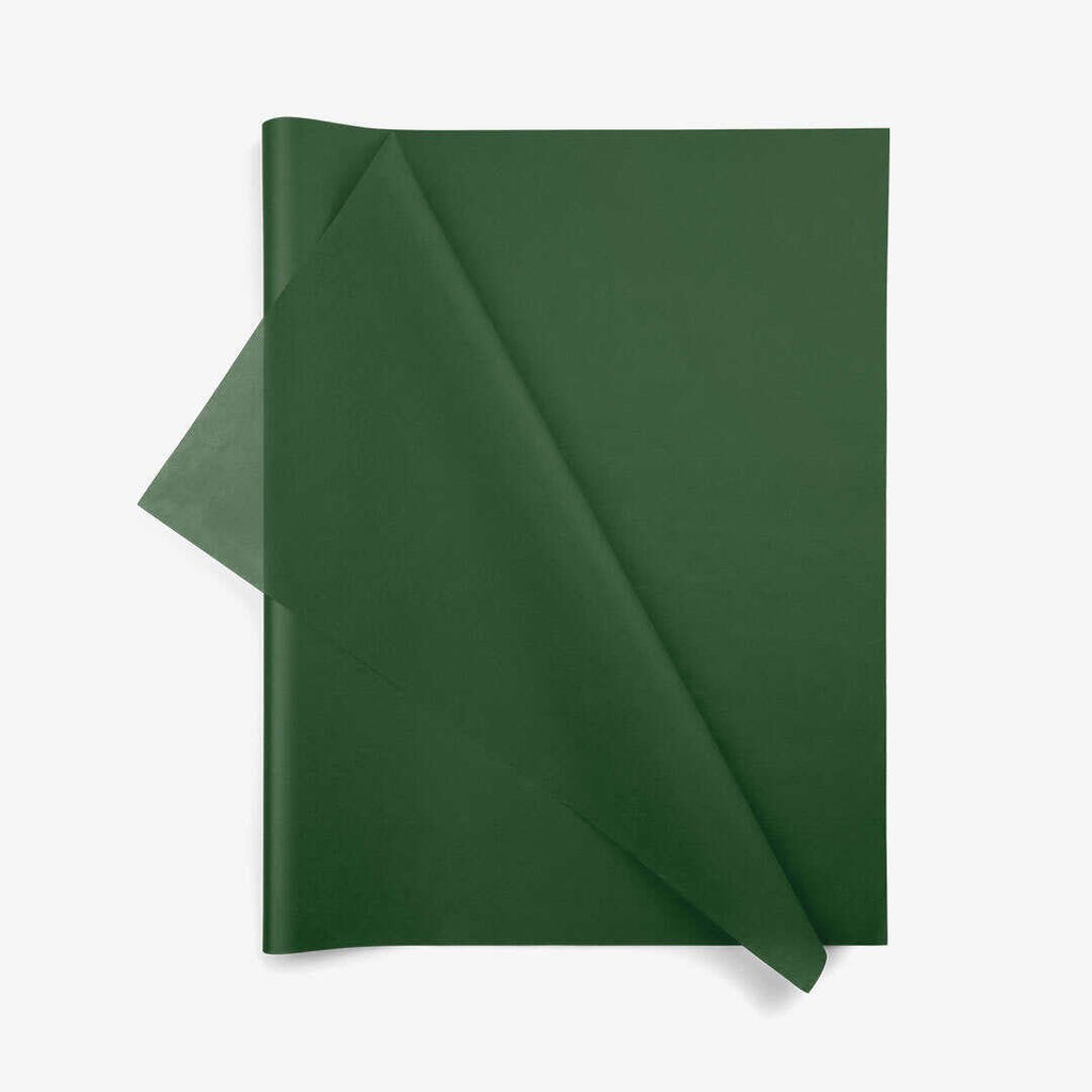 Evergreen – Deluxe Line - Smart Pack Adria